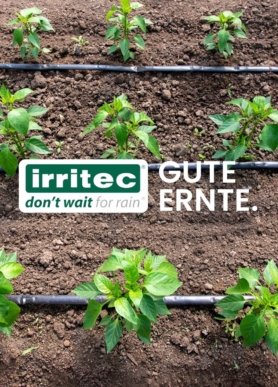 Bewässerungssysteme von Irritec